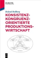 Roland Rollberg - Konsistenz-kongruenz-orientierte Produktionswirtschaft