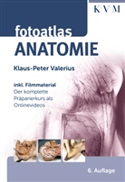 Klaus-Peter Valerius, Klaus-Peter (Dr. rer. nat. Dr. med.) Valerius - Fotoatlas Anatomie