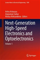 Aritra Acharyya, Mariya Aleksandrova, Angsuman Sarkar - Next-Generation High-Speed Electronics and Optoelectronics