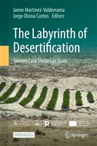 Jaime Martínez Valderrama, Jaime Martínez-Valderrama, Olcina Cantos, Jorge Olcina Cantos - The Labyrinth of Desertification