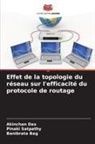 Banibrata Bag, Akinchan Das, Pinaki Satpathy - Effet de la topologie du réseau sur l'efficacité du protocole de routage