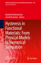 Manfred Kaltenbacher, Pechstein, Astrid Pechstein - Hysteresis in Functional Materials: From Physical Models to Numerical Simulation