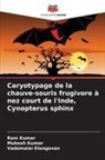 Vadamalai Elangovan, Mukesh Kumar, Ram Kumar - Caryotypage de la chauve-souris frugivore à nez court de l'Inde, Cynopterus sphinx