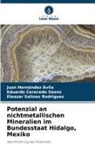 Eduardo Cerecedo Sáenz, Juan Hernández Ávila, Eleazar Salinas Rodríguez - Potenzial an nichtmetallischen Mineralien im Bundesstaat Hidalgo, Mexiko