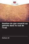 Kathem Ali - Gestion du gaz associé au pétrole dans le sud de l'Irak