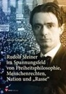 Albert Schmelzer - Rudolf Steiner im Spannungsfeld