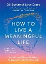 Bill Burnett, Burnett Bill, Dave Evans - How to Live a Meaningful Life
