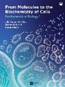 Markus Aebi, Hilvert Donald, J&ouml;rn Piel, Julia Vorholt, Julia Piel Vorholt - From Molecules to the Biochemistry of Cells