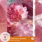Elena Vallejo, EasyOriginal Verlag, Frank, Ilya Frank, EasyOriginal Verlag - La Fuente de la Discordia - Spanische Krimi-Lektüre A2-B1 (+ Audio-CD), m. 1 Audio, m. 1 Audio, m. 1 Audio-CD