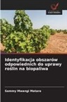 Sammy Mwangi Matara - Identyfikacja obszarów odpowiednich do uprawy roslin na biopaliwa