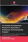 Srinivas Erla, Phaneendra Kolloju - Um Estudo de Esquemas Numéricos Aplicados a Problemas de Perturbação Singular
