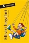 Iñaki Zubeldia - Mirari hegalari
