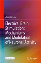 Zhouyan Feng - Electrical Brain Stimulation: Mechanisms and Modulation of Neuronal Activity