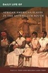 Melissa Ladd Teed, Paul E Teed, Teed Melissa Ladd, Teed Paul E. - Daily Life of African American Slaves in the Antebellum South