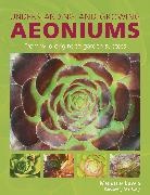 Lewis Melanie - Understanding and Growing Aeoniums