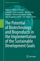 Roberto Arredondo-Valdés, Julia Anguiano Cabello, Marisol Cruz-Requena, Mari Cruz-Requena et al, A. K. Haghi, Leopoldo J Ríos-González... - The Potential of Biotechnology and Bioproducts in the Implementation of the Sustainable Development Goals