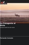 Fernando Coronato - La Patagonia al bivio