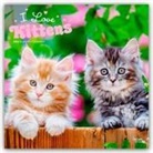 BrownTrout Publishers Inc, Browntrout Publishers - I Love Kittens - Ich liebe Katzenbabys 2026 - 16-Monatskalender