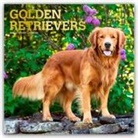 BrownTrout Publishers Inc, Browntrout Publishers - Golden Retrievers 2026 Square Flap Foil Calendar