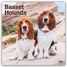 BrownTrout Publishers Inc, Browntrout Publishers - Basset Hounds 2026 Square Flap Calendar