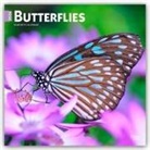 Browntrout, BrownTrout Publishers Inc, Browntrout Publishers - Butterflies - Schmetterlinge 2026 - 16-Monatskalender