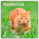 Browntrout, BrownTrout Publishers Inc, Browntrout Publishers - Ginger Cats - Gingerkatzen - Rote Katzen 2026 - 16-Monatskalender