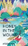 Jiyoung Han - Honey in the Wound