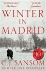 C. J. Sansom - Winter in Madrid