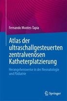 Fernando Montes-Tapia - Atlas der ultraschallgesteuerten zentralvenösen Katheterplatzierung