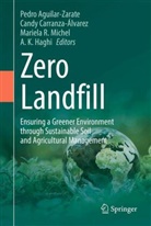 Pedro Aguilar-Zarate, Candy Carranza-Álvarez, A. K. Haghi, Mariela R. Michel, Mariela R Michel et al - Zero Landfill