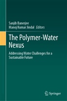 Sanjib Banerjee, Manoj Kumar Jindal, Kumar Jindal - The Polymer-Water Nexus