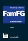 Andrik Abramenko, Andrik (RiLG Dr. Dr. ) Abramenko, Regin Bömelburg, Regina Bömelburg, Ulrich Drews, Christian Feskorn... - FamFG