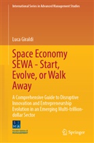 Luca Giraldi - Space Economy SEWA - Start, Evolve, or Walk Away