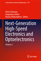 Aritra Acharyya, Mariya Aleksandrova, Angsuman Sarkar - Next-Generation High-Speed Electronics and Optoelectronics