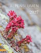 Athesia-Tappeiner Verlag - Alpenblumen Kalender 2027