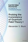 Alexander S. Blum, Alexander S. (Munich Center for Mathematical Blum - Probing the Consistency of Quantum Field Theory I