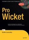 Karthik Gurumurthy - Pro Wicket