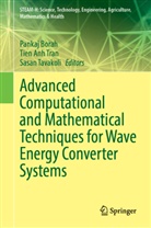 Tien Anh Tran, Pankaj Borah, Sasan Tavakoli, Tien Anh Tran - Advanced Computational and Mathematical Techniques for Wave Energy Converter Systems