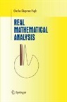 Charles Chapman Pugh - Real Mathematical Analysis