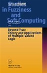 Melvin Fitting, Ewa Orlowska - Beyond Two: Theory and Applications of Multiple-Valued Logic