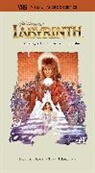 Paula M Block, Terry J Erdman, Erdmann Terry, Paula M. Block - Labyrinth: VHS