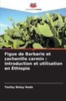 Tesfay Belay Reda - Figue de Barbarie et cochenille carmin : introduction et utilisation en Éthiopie