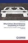 Ihor Romanchuk - What Drives Short-Distance Carpooling in France?