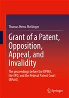 Thomas Heinz Meitinger - Grant of a Patent, Opposition, Appeal, and Invalidity