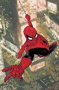 Adam Hughes, Pere Perez, J Michael Straczynski, J. Michael Straczynski, Straczynski J. Michael, … - Amazing Spider-Man: Torn