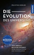 Felicitas Mokler - Die Evolution des Universums