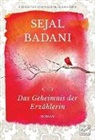 Sejal Badani - Das Geheimnis der Erz&auml;hlerin