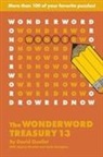 David Ouellet, David Ouellet - WonderWord Treasury 13