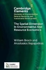 BROCK WILLIAM, Xepapadeas Anastasios - The Spatial Dimension In Environmental and Resource Economics