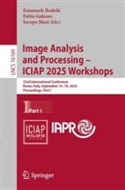 Fabio Galasso, Iacopo Masi, Emanuele Rodolà - Image Analysis and Processing - ICIAP 2025 Workshops
